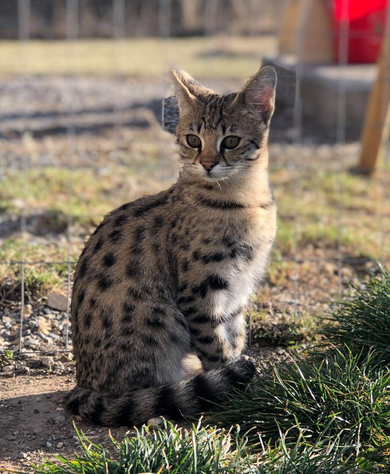 2019 02 22 17.52.50 1